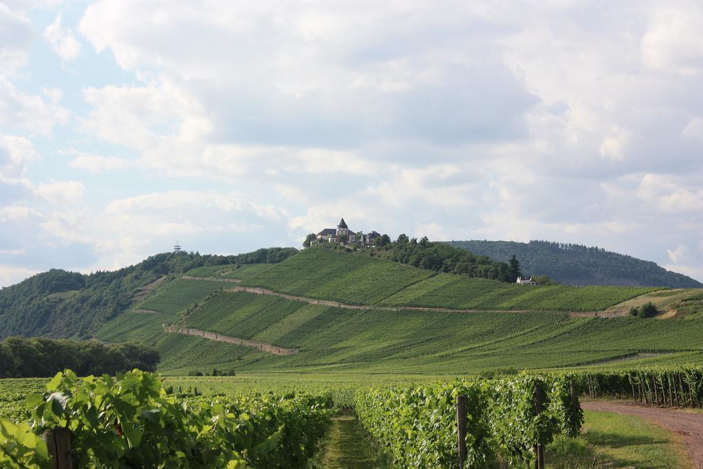 Zwei Ferienwohnungen "Im Weingarten " Burg  Phòng bức ảnh