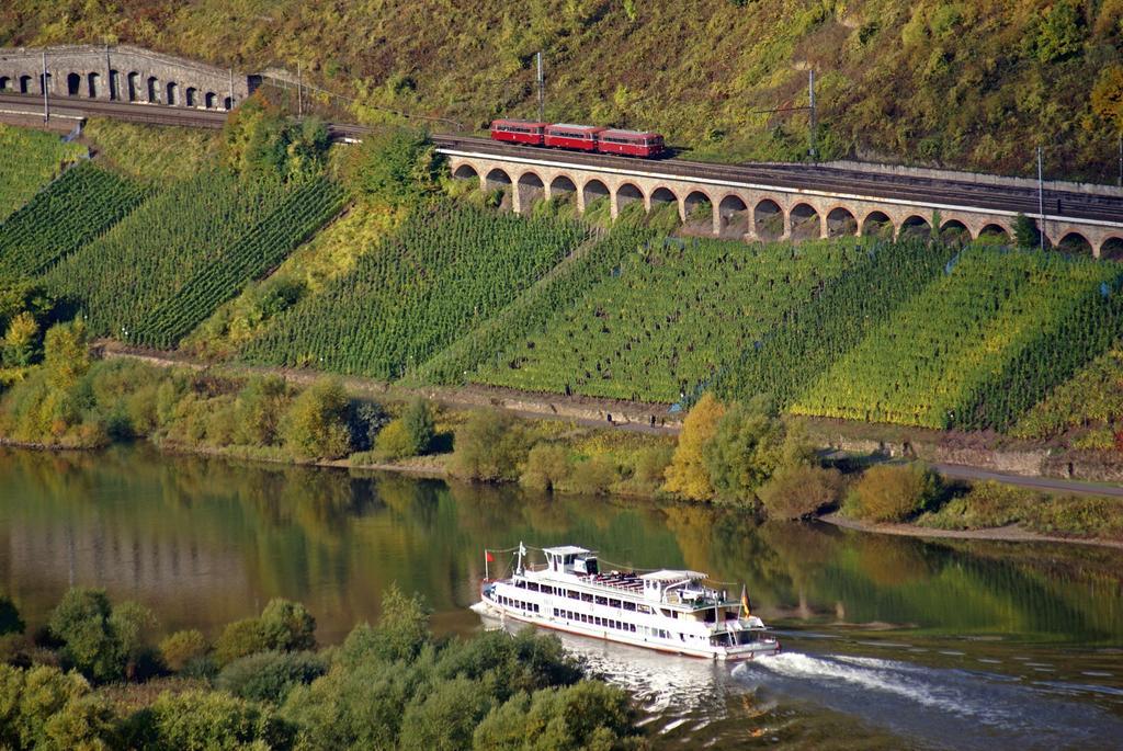Zwei Ferienwohnungen "Im Weingarten " Burg  Phòng bức ảnh