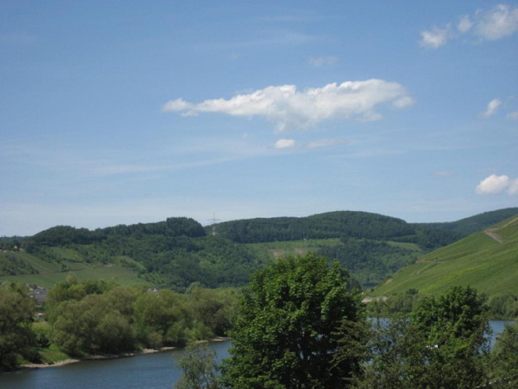 Zwei Ferienwohnungen "Im Weingarten " Burg  Ngoại thất bức ảnh